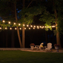 Load image into Gallery viewer, String Light 12-Light 24 ft. Black Commercial Incandescent
